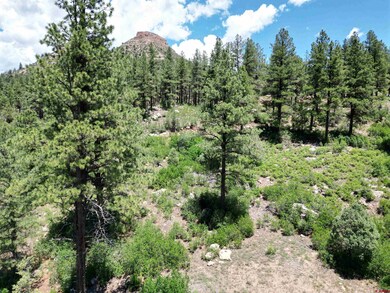 1156 Twin Buttes Ave, Durango, CO 81301 - photo 2