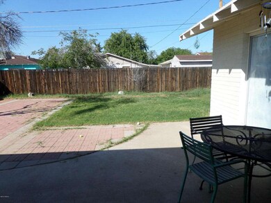backyard morning1