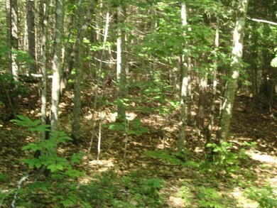 Lot 2 Harris unit 2, Thornton, NH 03223 - photo 2