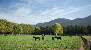 RiverEdgeFarm_69