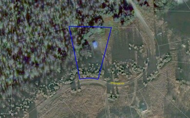 AERIAL.jpg