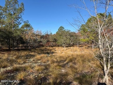 495 Antilla Dr SE, Bolivia, NC 28422 - photo 4