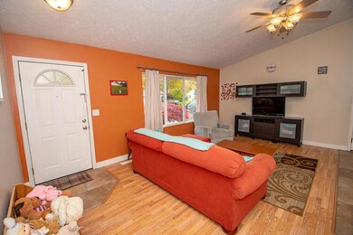 222 Deer Run Plainwell Living room 4