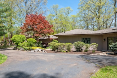 This photo captures the beautiful Japanese maple in the center garden.