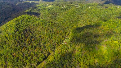 0 Lower Cane Creek Edwards Rd Rd unit 25503910, Stanton, KY 40380 - photo 4