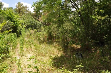 19714 Turtle Dove Ln, Magnolia, TX 77355 - photo 7