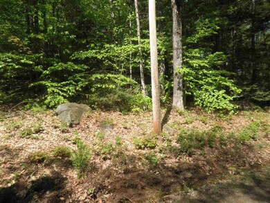 00 Mutton Rd, Webster, NH 03303 - photo 3