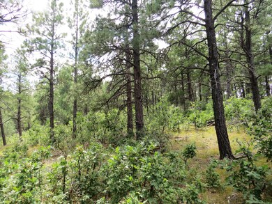 0 Gallinas Pkwy unit Parcel E5 18-1275, Trinidad, CO 81082 - photo 6