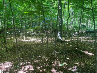 0 Horn Beam Ct, Cedar, MI 49621 - photo 5