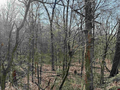 268-00601-000 Altakima Cir, Cherokee Village, AR 72529 - photo 6