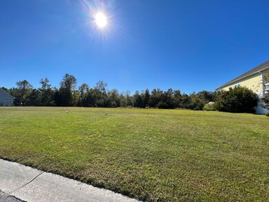 506 Boneset Park, Holly Ridge, NC 28445 - photo 5