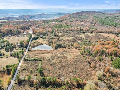 31 acres Beagle Rd, Sardis City, AL 35956 - photo 2