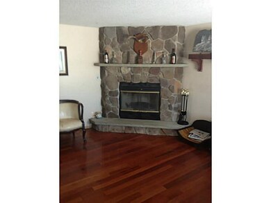 Living Room Brazilian Cherry Hardwood Floors  Wood