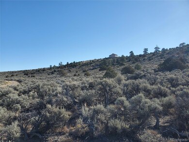 Lot 4601 Miller Rd unit 4601, Fort Garland, CO 81133 - photo 3