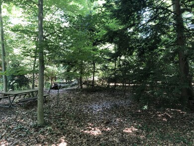 Washington Lot