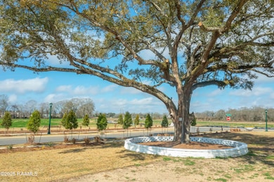 118 Castle Vine Way, Lafayette, LA 70508 - photo 4