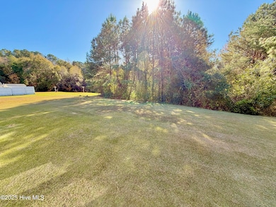 2917 Laurel Ridge Ln, Kinston, NC 28504 - photo 5