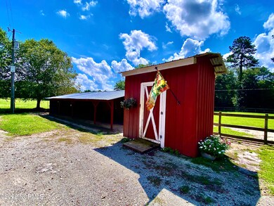 9750 Penderlea Hwy, Willard, NC 28478 - photo 7