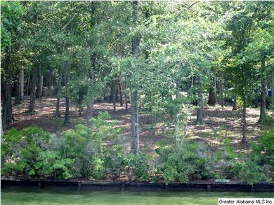 flat lot that has 129 feet of shoreline that offer