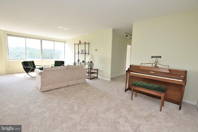 River Towers unit 903, Alexandria, VA 22307 - photo 7