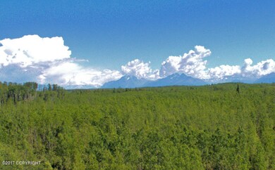 2940 S Knollwood Dr, Big Lake, AK 99654 - photo 6