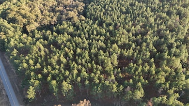 0 County Road 1156, Troy, AL 36079 - photo 3