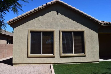 Back Yard (2)
