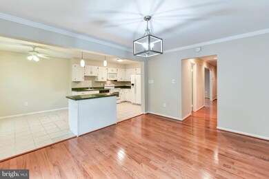 6008 Morgan Ct, Alexandria, VA 22312 - photo 7