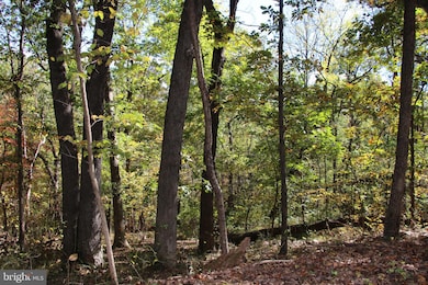 0 River View Place unit VAPA2005486, Shenandoah, VA 22849 - photo 5