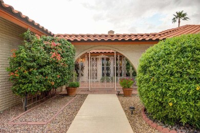 9814 W Terrace Ln, Sun City, AZ 85373 - photo 3