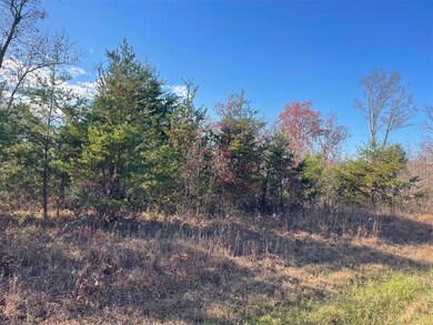 0 Terry Coal Rd unit RA20256681, Crofton, KY 42217 - photo 6