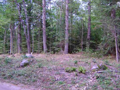 00 Berndorf unit 25.1, Moultonborough, NH 03254 - photo 4