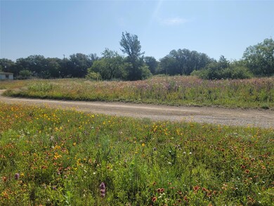 TBD County Road 551, Lake Brownwood, TX 76801 - photo 5