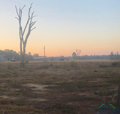 View of nature at dusk
