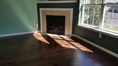 Gas Fireplace