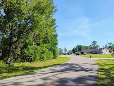 0 N East 155th Ct unit MFRO6309878, Williston, FL 32696 - photo 2
