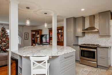 1133 Laurel Ln, Naperville, IL 60540 - photo 5