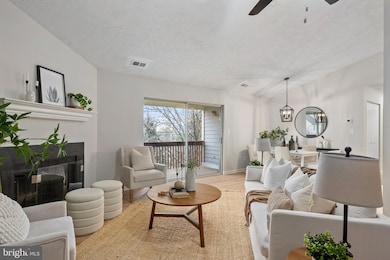 6607 Rapid Water Way unit 302, Glen Burnie, MD 21060 - photo 3