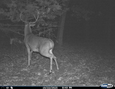 6745 E Hwy Cc, Stockton, MO 65785 - photo 7