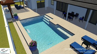 Pool Back Pic