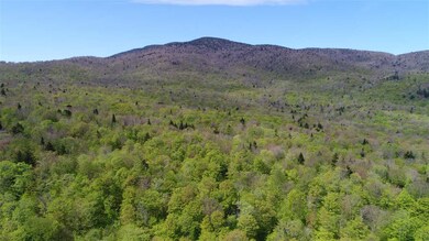 0 Deep Gibou Rd, Montgomery, VT 05471 - photo 4