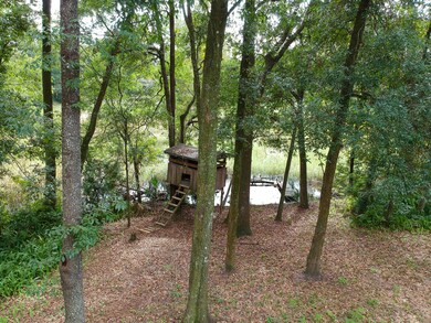 7032 Tynan Ave, Jacksonville, FL 32211 - photo 6