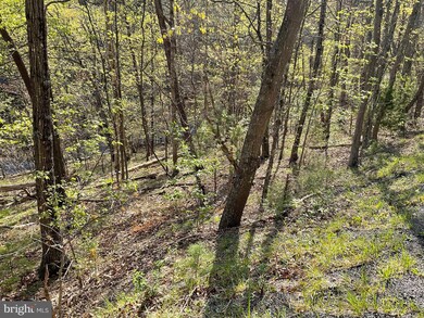 TBD Johnston, Basye, VA 22810 - photo 5