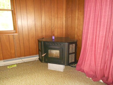 pellet stove in livingroom