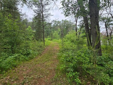 W5834 Waterstone Ln, New Lisbon, WI 53950 - photo 3