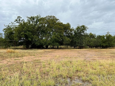 101 Bickenbach Ave, Mason, TX 76856 - photo 2