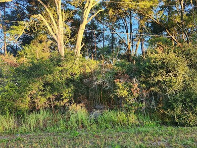 0 Cedar Trace, Ocala, FL 34472 - photo 4