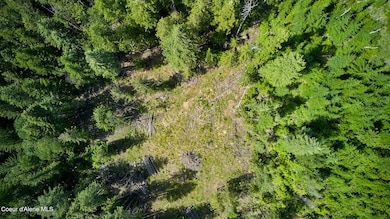 Clearing