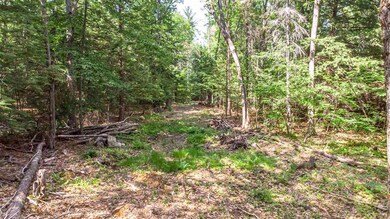 00 Heath Trail, Wolfeboro, NH 03894 - photo 4
