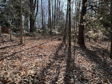 VL Lot 811 Miramichi Dr, Evart, MI 49631 - photo 3